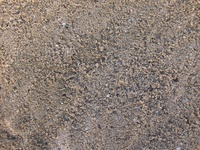Lom - sable de Rhin0  0-7.jpg